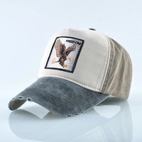 Gray Eagle