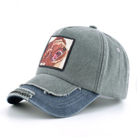 Bear 1