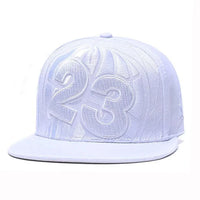 As shown 1