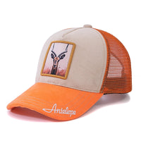 Antelope