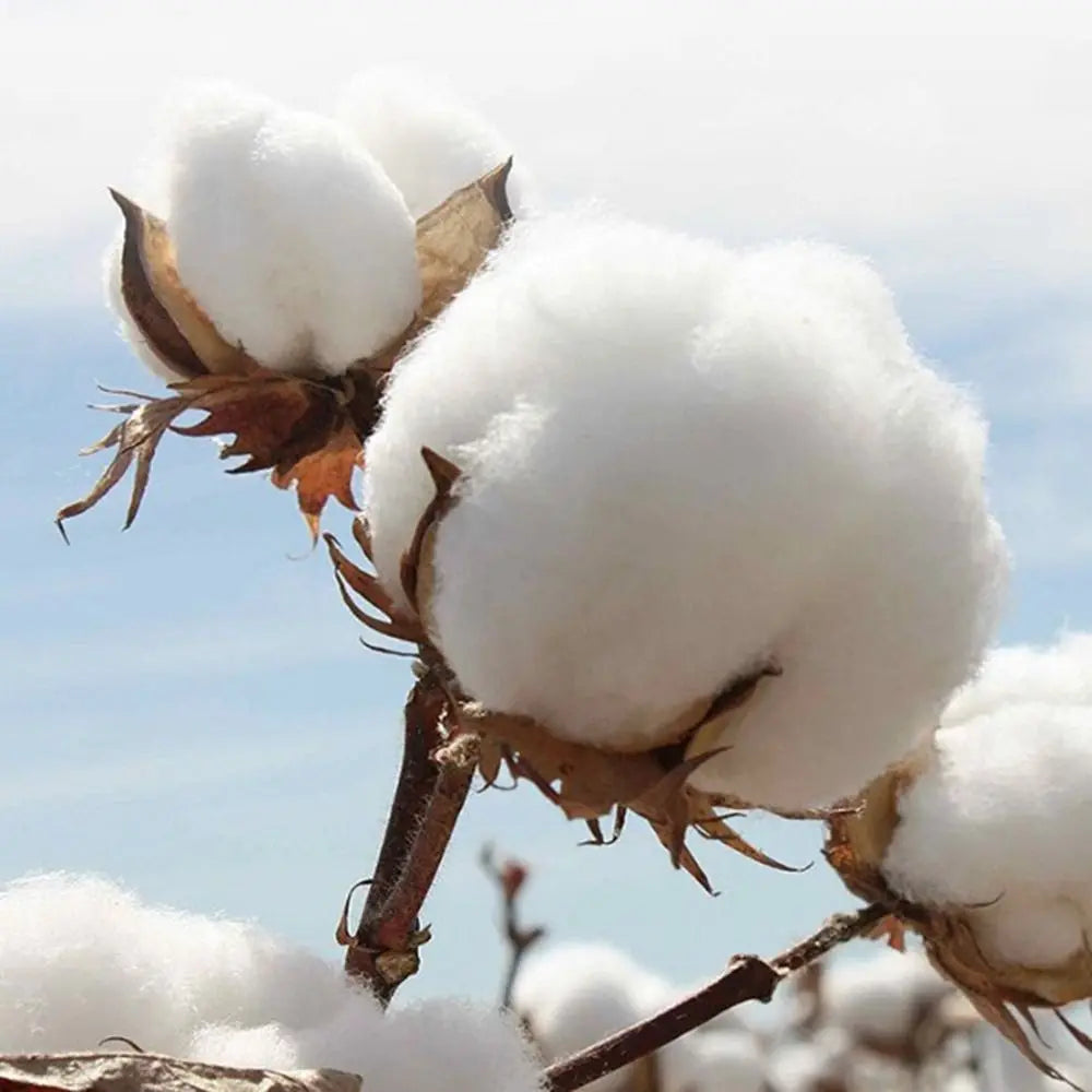 Unisex Bucket Hats Cotton 8 Styles Panama Hat Beach Mountaineering Cap