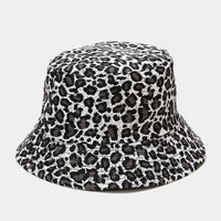 Gray Leopard