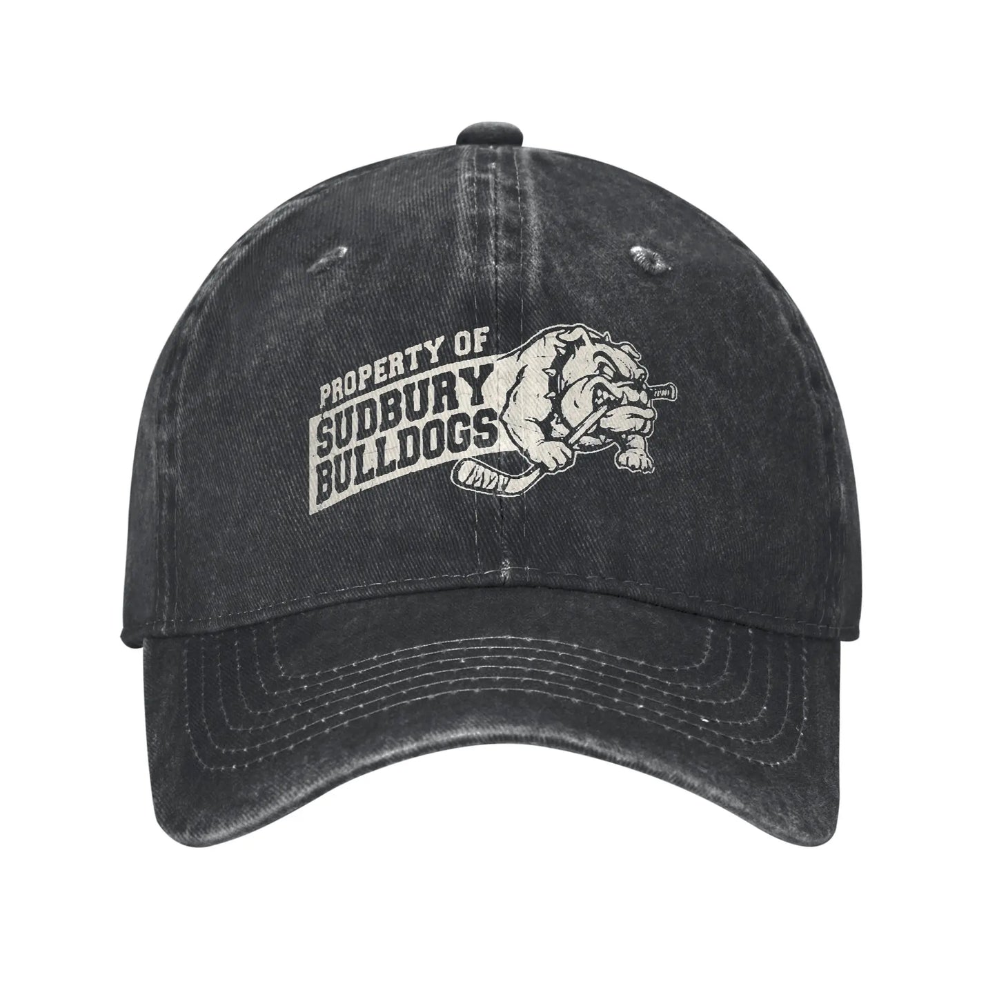 Baseball Cap Sudbury Blueberry Bulldogs Summer Trendy Trucker Hat