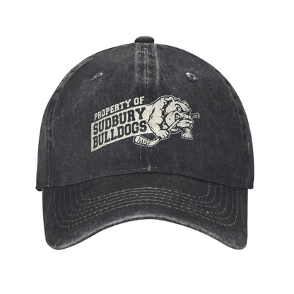 Baseball Cap Sudbury Blueberry Bulldogs Summer Trendy Trucker Hat