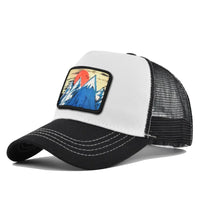 As shown 1