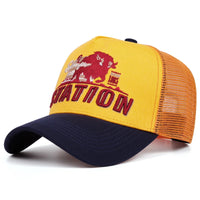 Navy Blue and Yellow
