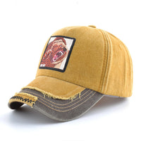 Bear 5