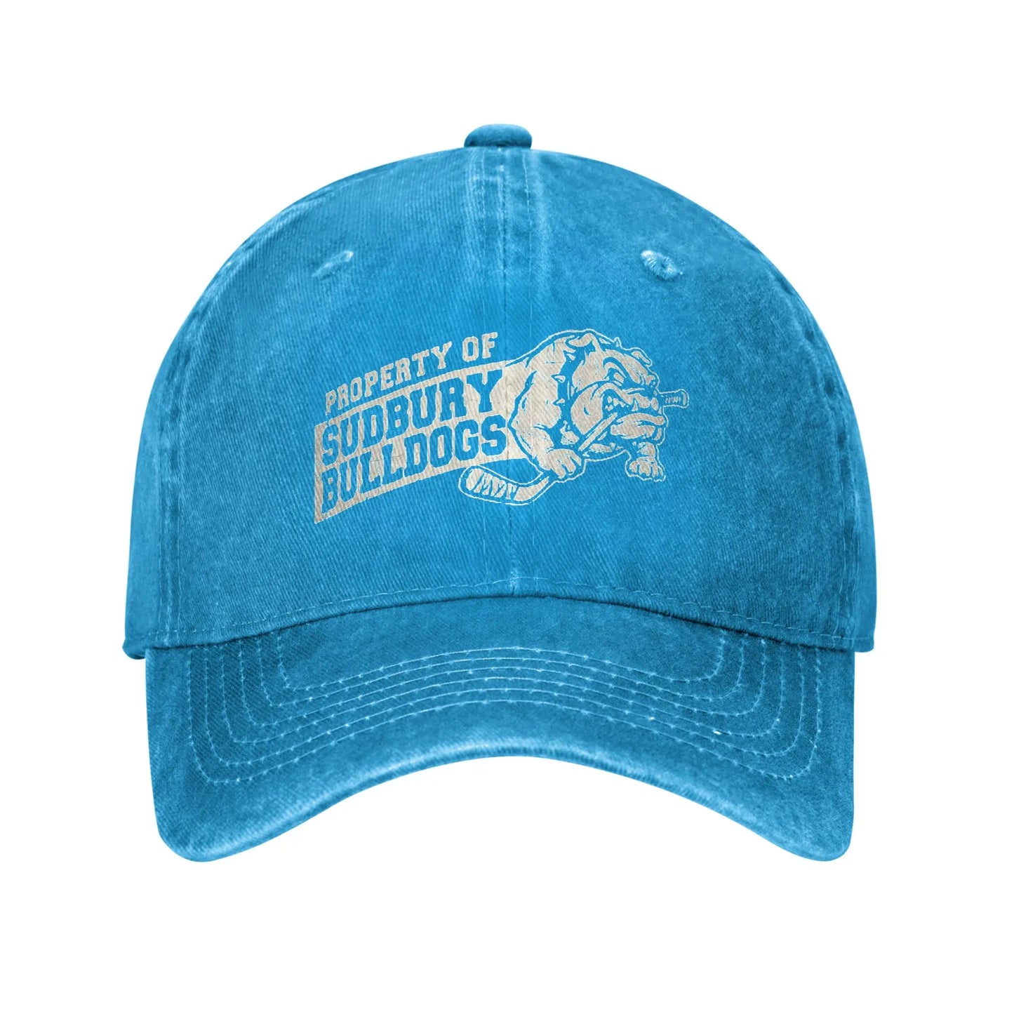 Baseball Cap Sudbury Blueberry Bulldogs Summer Trendy Trucker Hat