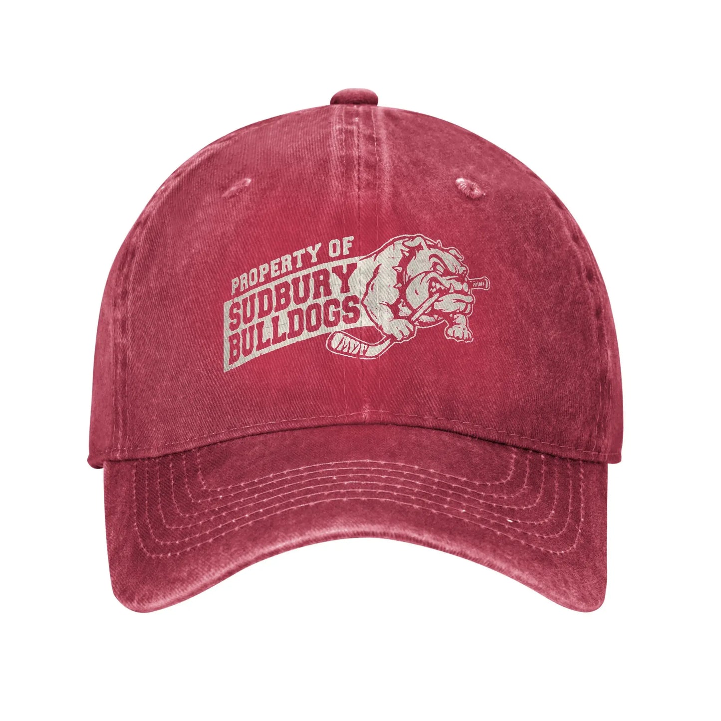 Baseball Cap Sudbury Blueberry Bulldogs Summer Trendy Trucker Hat