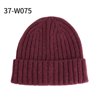 Tailor Smith 2022 New Autumn Hot Selling Wool Winter Hats
