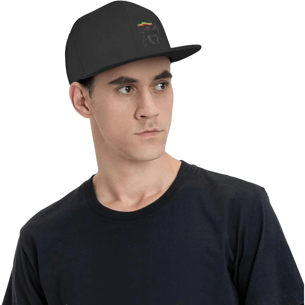Rasta Lion Of Judah Flat Brim Baseball Cap