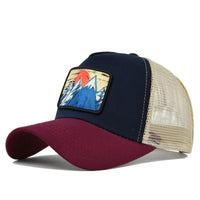 As shown 7