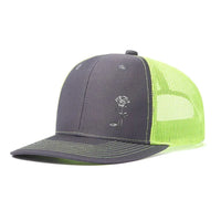 As Shown 17