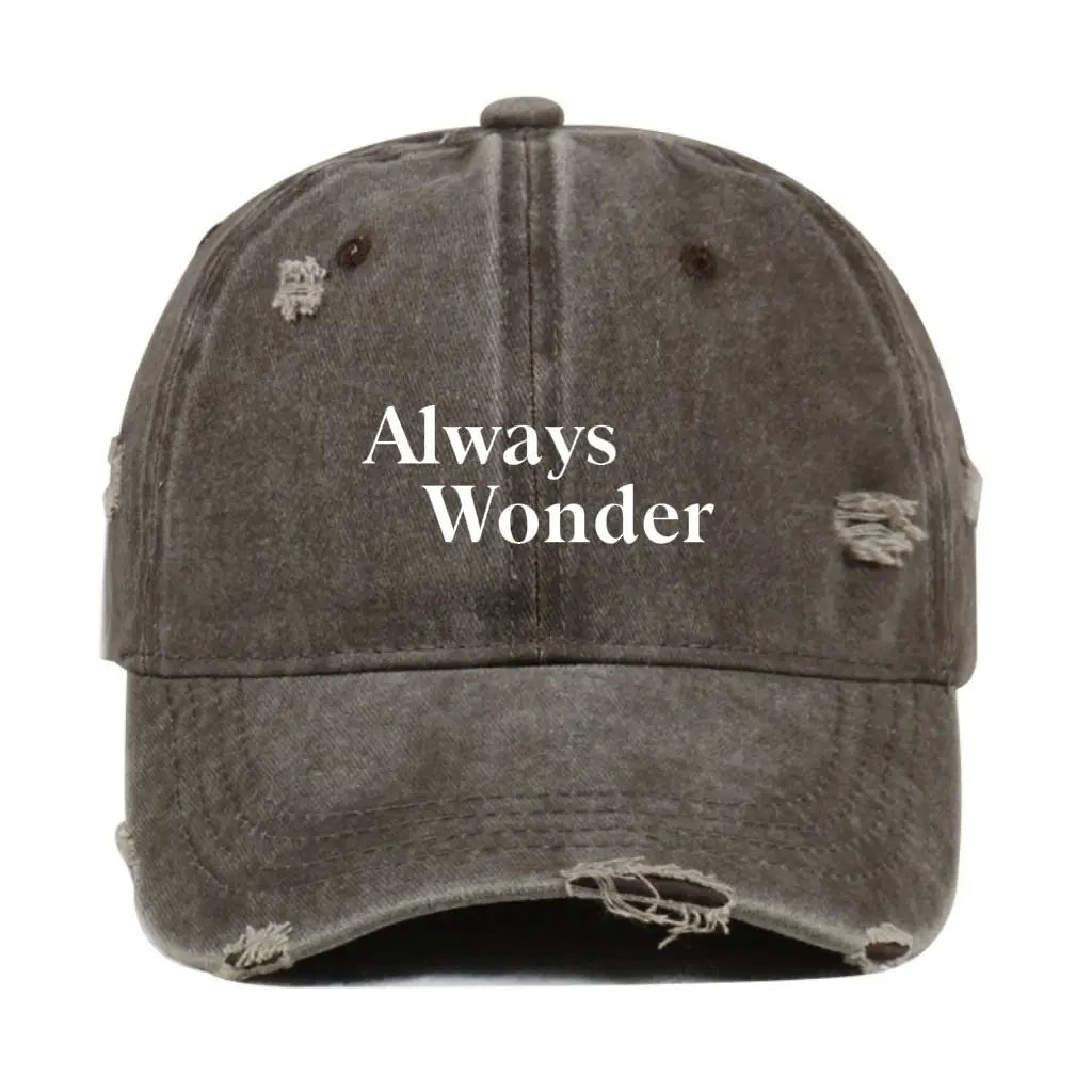 2025 The Secret Of Us New Vintage Distressed Hat