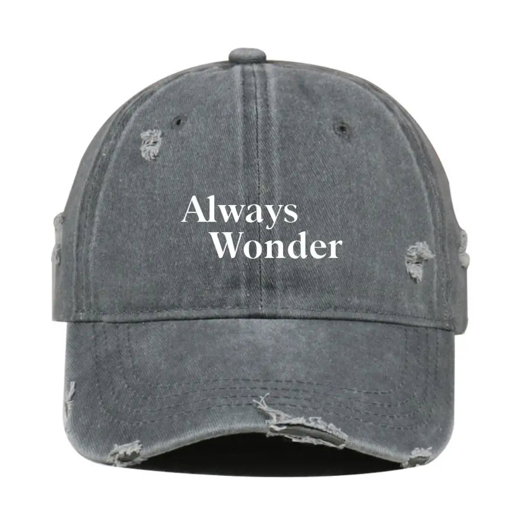 2025 The Secret Of Us New Vintage Distressed Hat