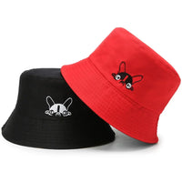 Cat-Red Black