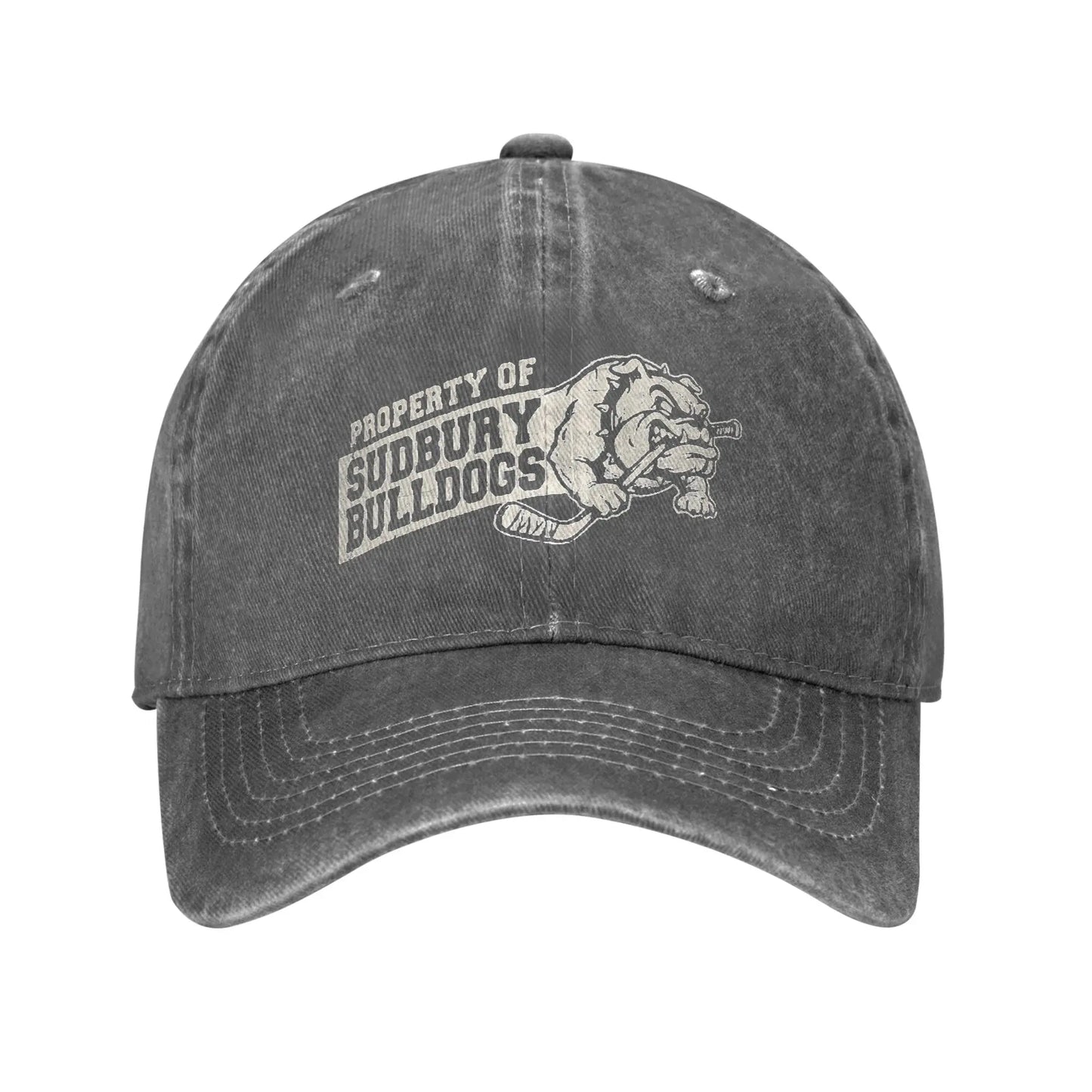 Baseball Cap Sudbury Blueberry Bulldogs Summer Trendy Trucker Hat