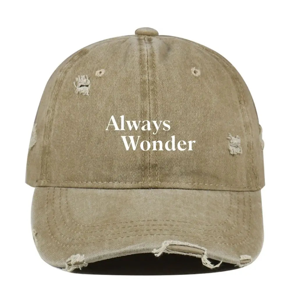 2025 The Secret Of Us New Vintage Distressed Hat