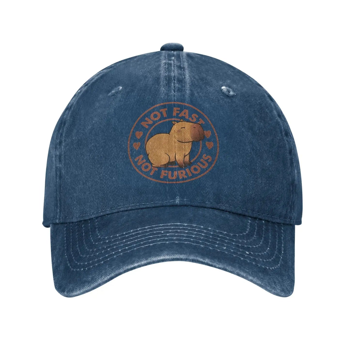 Not Fast Not Furious Capybara Men Women Baseball Cap