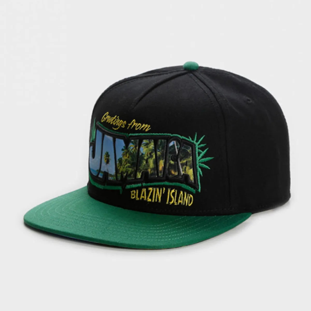 Fashion Hat Brand Cho Cap Black Snapback Hat for Men Women Adult
