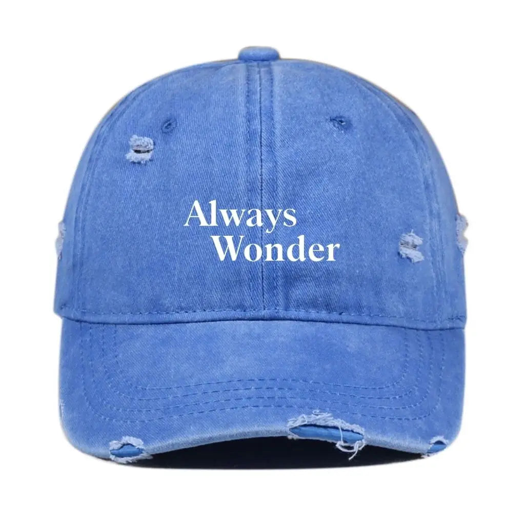 2025 The Secret Of Us New Vintage Distressed Hat