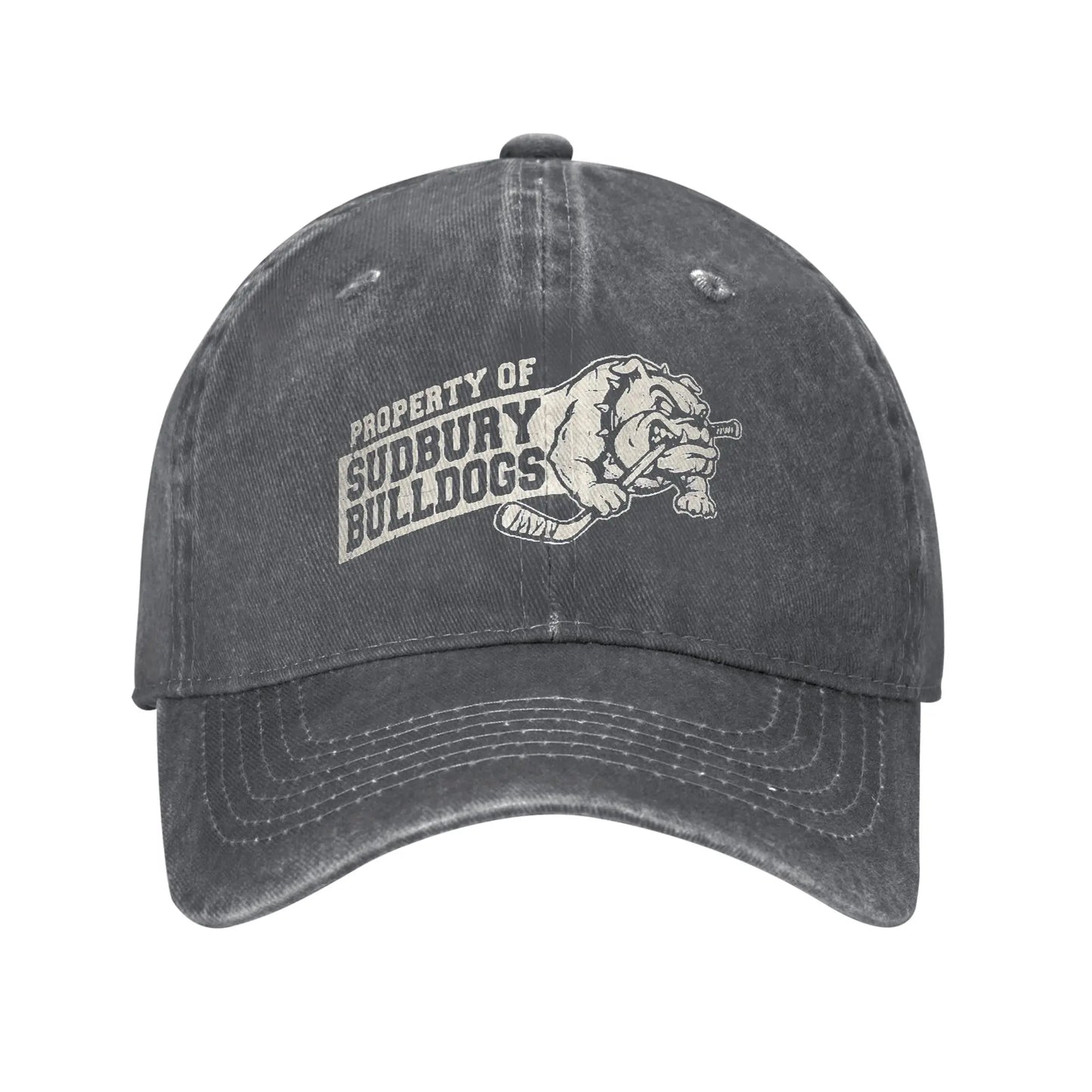 Baseball Cap Sudbury Blueberry Bulldogs Summer Trendy Trucker Hat