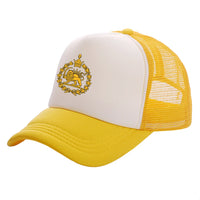 As Picture 5