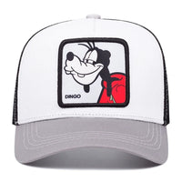 DINGO