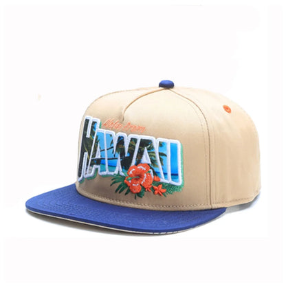 Fashion Hat Brand Cho Cap Black Snapback Hat for Men Women Adult
